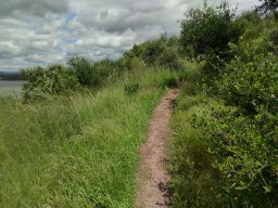 Flora del Cerro Masatrigo